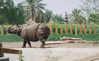 rhino themepark